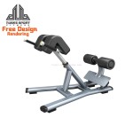 Hyperextension Machine Factory - Commercial Home Gym Luxury