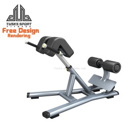Hyperextension Machine Factory - Commercial Home Gym Luxury
