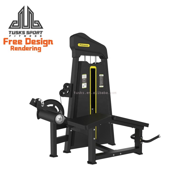 Leg Extension Manufacturer - Seated Quadriceps Strengthening