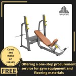 Weightlifting Machine Supplier - Pin Loaded Back Extension
