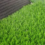 Rubber Tiles Supplier - Non-Toxic Dog Bone Outdoor