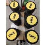 Bumper Plate Manufacturer - Gym Exercise Weightlifting Disc