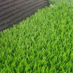 Rubber Tiles Supplier - Non-Toxic Dog Bone Outdoor