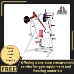 Gym Equipment Manufacturer - Pin Loaded Lateral Raise
