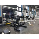 Squat Trainer Supplier - Weight Plate Loaded Pendulum