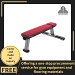 Leg Curl Machine Supplier - Horizontal Professional Strength