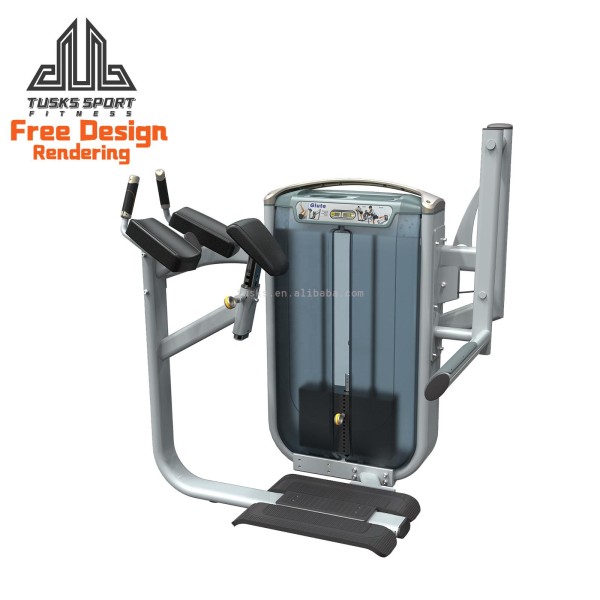 Comprehensive Trainer Manufacturer - Big Flying Bird All-in-One