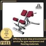 Integrated Trainer Supplier - Lateral Raise Chest Squeeze