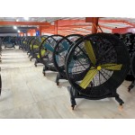 Commercial Fan Supplier - Low Price Industrial Gym Fan
