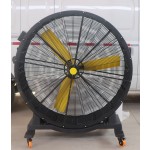 Stand Fan Manufacturer - Newly Designed Gym Blower Equipment