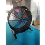 Commercial Fan Supplier - Low Price Industrial Gym Fan