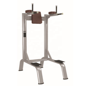 Gym Rack Manufacturer - Vertical Knee Dip Exercise Machine