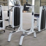 Gym Rack Manufacturer - Vertical Knee Dip Exercise Machine