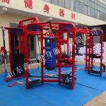 Gym Equipment Supplier - Commercial Cross Fitness Rig XR-360A1