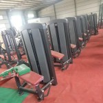 Dip Machine Factory - Best Seller Commercial Dip Chin