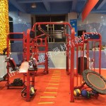 Gym Equipment Supplier - Commercial Cross Fitness Rig XR-360A1