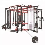Fitness Equipment Manufacturer - Synergy 360 Multi Function Trainer