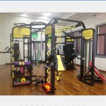 Fitness Equipment Manufacturer - Synergy 360 Multi Function Trainer