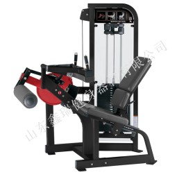 Leg Curl Machine Manufacturer - Stack Weight Seated Curl