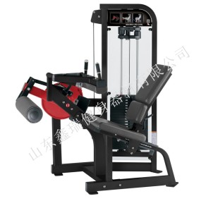 Leg Curl Machine Manufacturer - Stack Weight Seated Curl