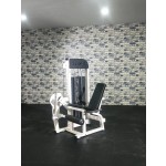 Leg Machine Manufacturer - Steel Seated Extension Curl