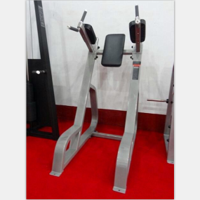 Gym Equipment Manufacturer - Commercial Vertical Knee Dip