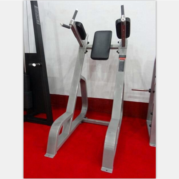 Gym Equipment Manufacturer - Commercial Vertical Knee Dip