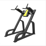 Gym Equipment Manufacturer - Commercial Vertical Knee Dip