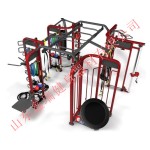 Gym Equipment Supplier - Commercial Cross Fitness Rig XR-360A1