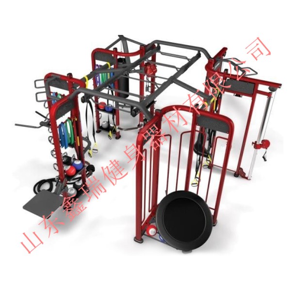 Gym Equipment Supplier - Commercial Cross Fitness Rig XR-360A1