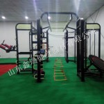 Gym Equipment Supplier - Commercial Cross Fitness Rig XR-360A1