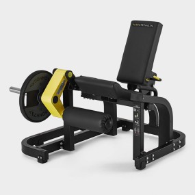 Leg Extension Machine Supplier - Commercial Gym Equipment FW11