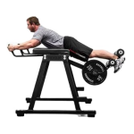 Hyper Extension Supplier - High-quality Reverse Bench Press