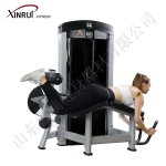 Dip Machine Factory - Best Seller Commercial Dip Chin