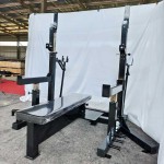 Chest Press Manufacturer - Linear Bearing Guided Track