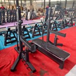 Chest Press Manufacturer - Linear Bearing Guided Track