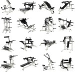 Hip Thrust Supplier - Plate Loaded Glute Training