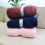Throw Blanket Supplier - All Season Twin Size Blue Flannel
