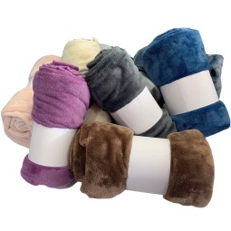 Blanket Manufacturer - Factory Supply Single Side Flannel