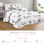 Quilt Set Factory - Wholesale Ultrasonic Microfiber Multi Color