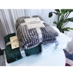 Fleece Blanket Supplier - 2 Ply Custom Print Coral Flannel