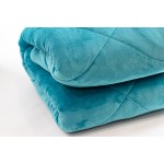 Winter Quilt Supplier - Custom Printed Thickened Comforter