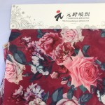 Lace Fabric Supplier - Cheap Net Material Dress