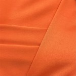 Waterproof Fabric Supplier - 100% Polyester T66 Jacket