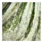 Royal Curtain Fabric Supplier - European Style Foil Velvet