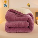 Bedding Set Manufacturer - Warm Thick Flannel Quilt Set