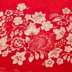 Wedding Skirt Supplier - High Quality Microfiber Red