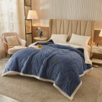 Comforter Manufacturer - Warm Winter Thick Flannel Luxury