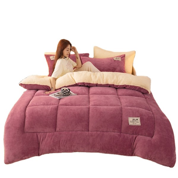Bedding Set Manufacturer - Warm Thick Flannel Quilt Set