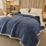 Comforter Manufacturer - Warm Winter Thick Flannel Luxury